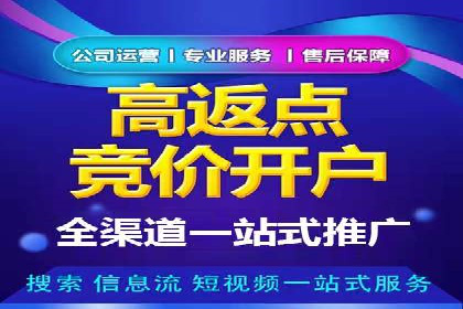 SEM投放策略优化案例分析